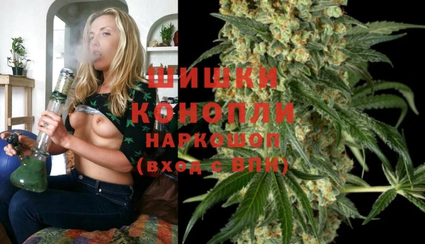 гидра Абаза