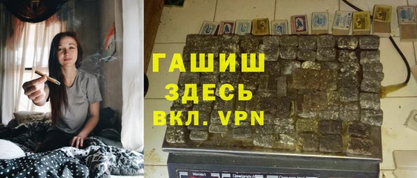 гидра Абаза