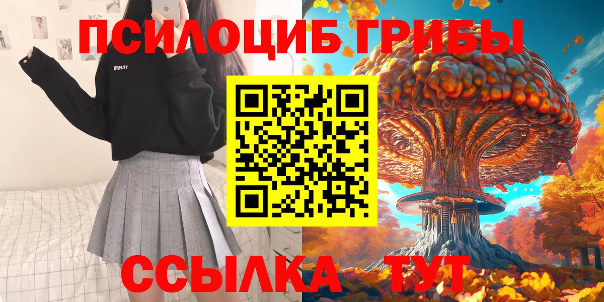 дарнет шоп  Галлюциногенные грибы MAGIC MUSHROOMS  Вход с VPN  Стерлитамак 